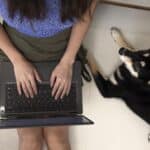 Kennel Management Software Industry: Growth, Trends, and Investment Opportunities
