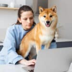 Managing Finances For Your Dog Daycare Or Boarding Business With The Right Software Tools