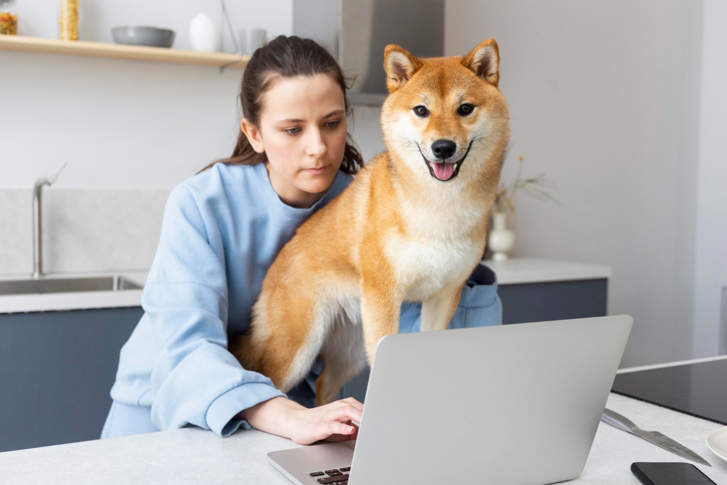 Managing Finances For Your Dog Daycare Or Boarding Business With The Right Software Tools